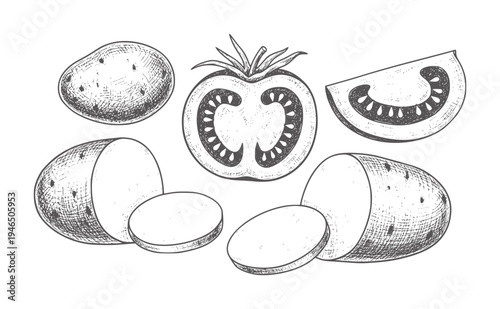 Hand drawn of whole and sliced potatoes and tomato food vintage ingredient