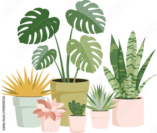 Indoor houseplants collection, tropical leaf decoration, botanical greenery in colorful pots, modern home decor plant design, cad drawing flat vector illustration