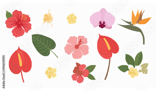 Tropical Flower Collection Hibiscus Orchid Plumeria Exotic Floral Vector Set