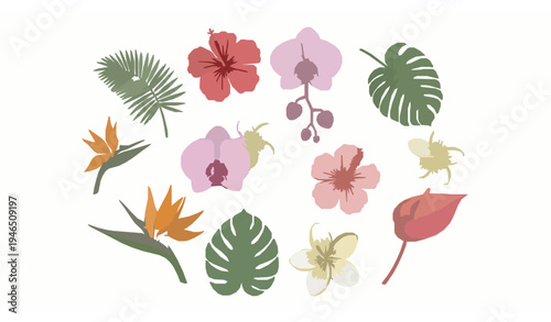 Colorful Tropical Flower Vector Collection Exotic Botanical Blossom Set