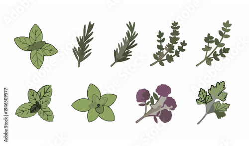 Herb Icon Set Culinary Kitchen Plant Line Vector Pack