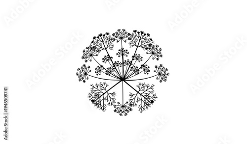 Minimal Fennel Flower Botanical Flat Vector Illustration