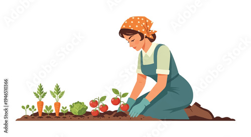 Woman gardening planting vegetables cultivating harvest vector illustration