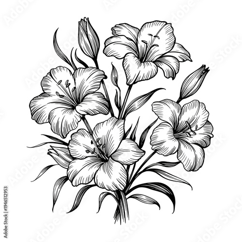Elegant Lily Sketch: A delicate pen and ink drawing showcases a cluster of lilies, their petals unfurling in graceful curves. Delicate lines capture the intricate details of the flower. 