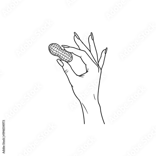Icon of a hand holding a peanut representing concepts of healthy snacking and plant-based food