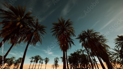 Sunset palm silhouettes under dramatic sky, teal clouds drifting above amber horizon, tall trunks and fronds backlit by low sun, gentle breeze swaying leaves,