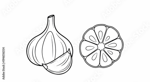Line drawing of a whole garlic bulb next to a halved citrus fruit on a white background.