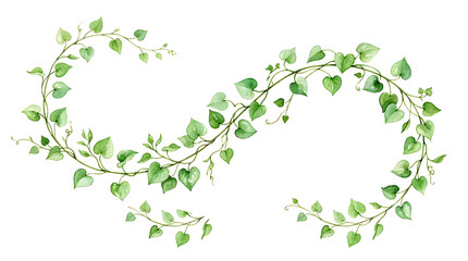 Elegant green eucalyptus leaf garland swirling gracefully on a clean white background.