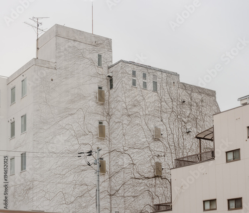 Wallpaper Mural Modern concrete apartment building wall partially covered with climbing ivy vines Torontodigital.ca