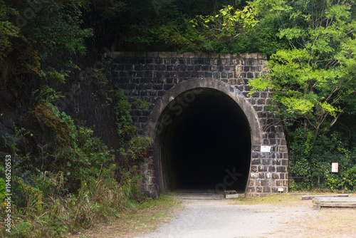 Wallpaper Mural Entrance of an old abandoned stone railway tunnel surrounded by lush green forest Torontodigital.ca