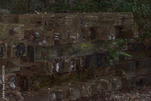 Wallpaper Mural Natural texture of green moss and lichen growing on a decaying wooden structure Torontodigital.ca