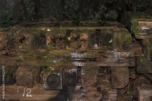 Wallpaper Mural Natural texture of green moss and lichen growing on a decaying wooden structure Torontodigital.ca