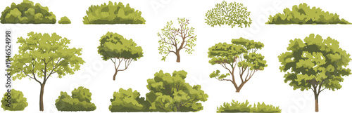 Collection of stylized vector trees and bushes isolated on white background, diverse forest foliage, garden shrubs and landscape elements for nature, park and landscaping design
