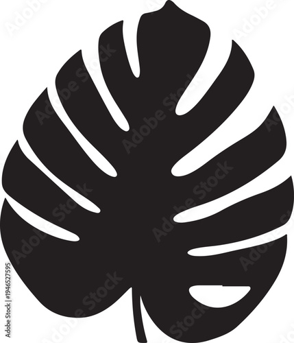 white background monstera leaf black silhouette vector