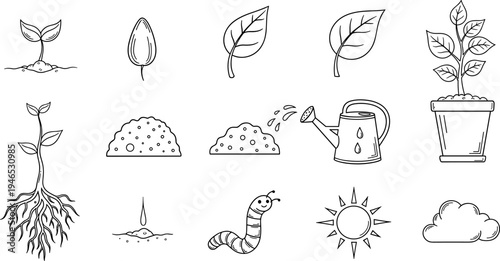 Hand-drawn garden elements including vegetables, tools, and insects for a healthy ecosystem