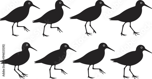 Wading shorebird silhouette walking poses collection, coastal seabird vector icons set isolated on white background for wildlife, nature, and design projects
