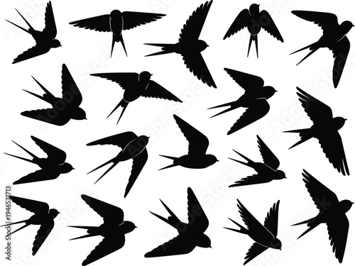 Swallow bird flying silhouette collection with wings spread poses, swift avian vector set isolated on white background for wildlife design