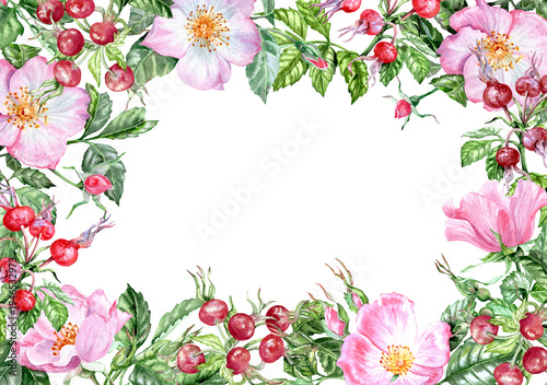Horizontal lush rectangular frame with pink rosehip flowers