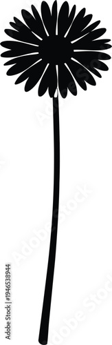 Wild chamomile flower silhouette graphic