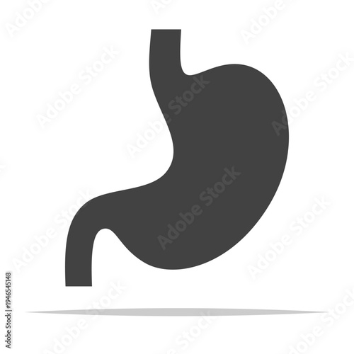 Stomach icon shape vector isolated illustration