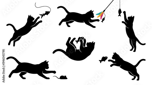 Cats playing with toys