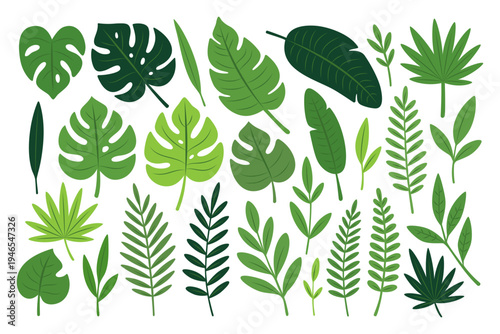 Set of assorted tropical leaves with palm, monstera, banana leaf, and botanical foliage in green tones for creative design projects