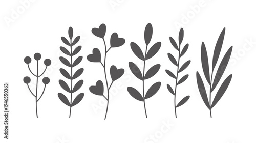 Five minimalist dark gray botanical plant sprigs white leaf stem