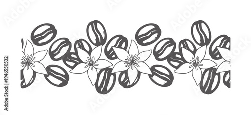 Seamless pattern of coffee beans and delicate white flowers