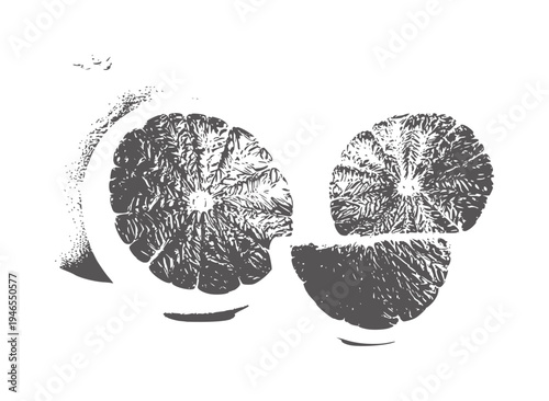 Stylized grapefruit slices with textured pulp and rind citrus