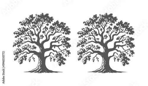 Two symmetrical dark grey oak trees in silhouette style
