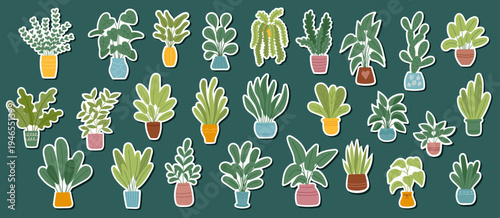 Set of houseplants stickers isolated on white4. Concept of greening, home decor, nature, botanical design, ecology, care, growth and sustainability. Vector hand drawn cliparts.