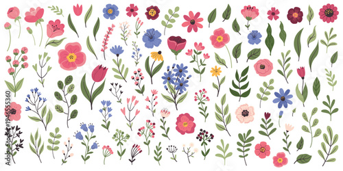 Collection with flowers, twigs, leaves, herbs and berries. Set of floral elements. Vector design isolated on white background.