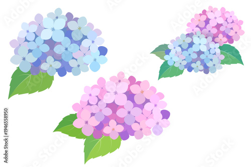 水彩風のアジサイのイラストセット 梅雨のベクター素材
