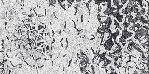 Organic abstract monochrome texture with intricate interwoven lines and granular noise, resembling organic growth or cellular structures for design and backgrounds