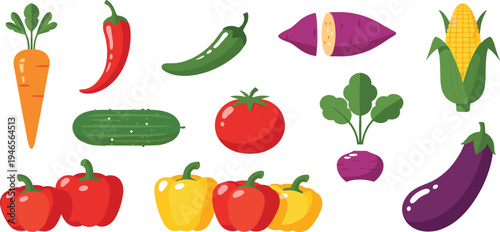 Fresh Vegetable Collection Vector Illustration Featuring Carrot, Chili Pepper, Jalapeno, Sweet Potato, Corn, Cucumber, Tomato, Beetroot, Bell Peppers, and Eggplant
