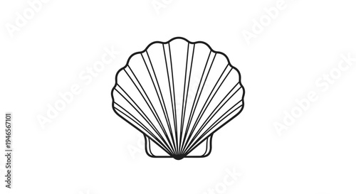 Elegant black and white line art illustration depicts the detailed texture and radial ribs of a classic scalloped seashell.