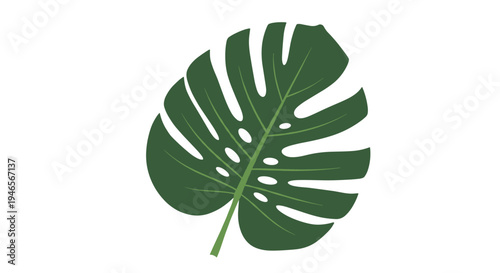 Single green monstera leaf with iconic holes is shown in a clean minimalist style against a plain white background.