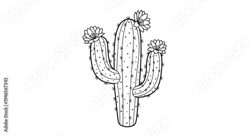 Flowering cactus with large blooms is shown in a clean black and white line art drawing perfect for coloring books or icons.