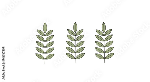 Three identical vertical sprigs of green leaves are arranged in a row against a plain white background for simple botanical designs.