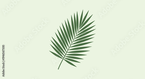 Single green palm leaf is centered on a pale green background representing tropical nature and summer vacation vibes in a simple way.