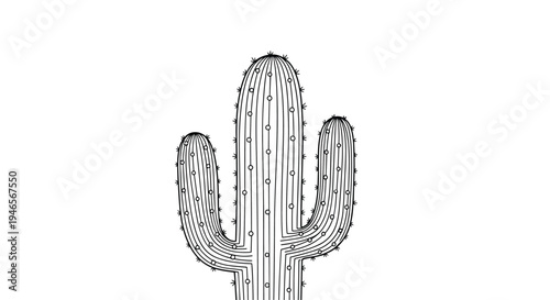 Detailed black and white line art illustration of a tall cactus is shown on a white background capturing desert nature elements.