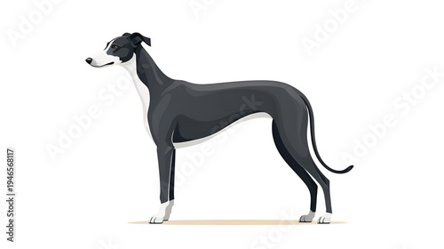 Greyhound Dog Flat Icon Isolated On White Background