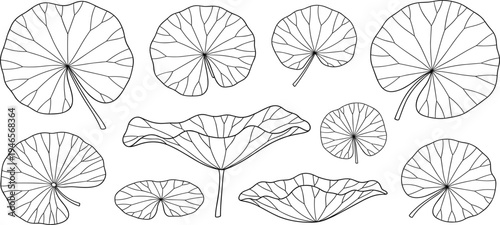 Lily Pad Leaf Line Art Set with Botanical Water Lily Leaves Outline Collection for Nature Designs, Pond Illustrations, Floral Decor, and Minimal Vector Projects