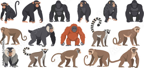 Monkey and Ape Cartoon Collection with Chimpanzee Gorilla Orangutan Baboon and Lemur Characters for Wildlife Education, Zoo Design, Safari Illustration, and Kids Learning Materials