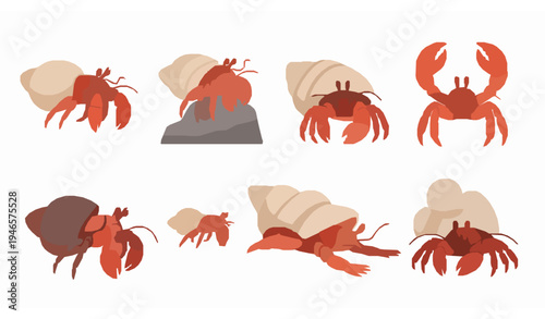 Hermit crab flat vector illustration bundle with multiple poses for coastal wildlife and digital design