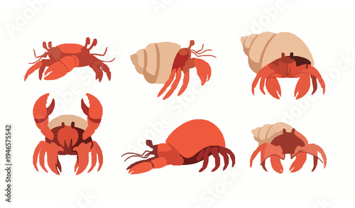 Hermit crab vector illustration set in flat style with multiple poses for marine and coastal design