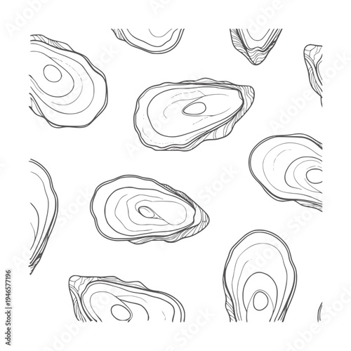 Black and white line pattern of oysters shell seafood