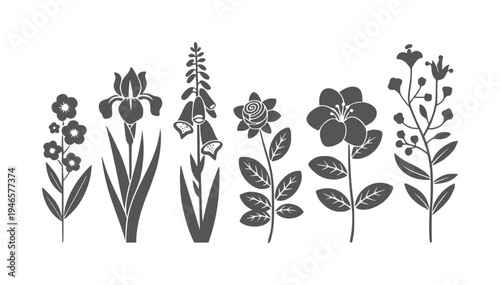 Black and white of six different stylized flowers and plants iris