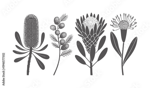 Four dark grey botanical silhouettes white flower flora plant