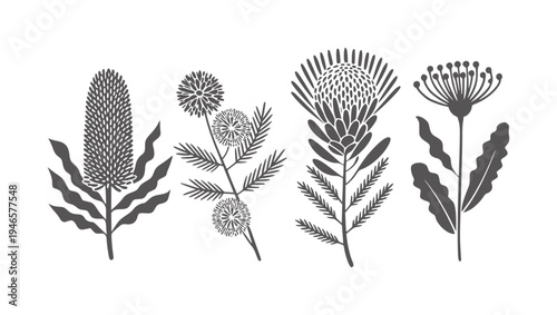 Four stylized dark grey botanical white flora plant flower